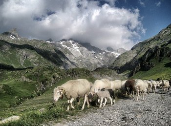 randonnee sur le gr10